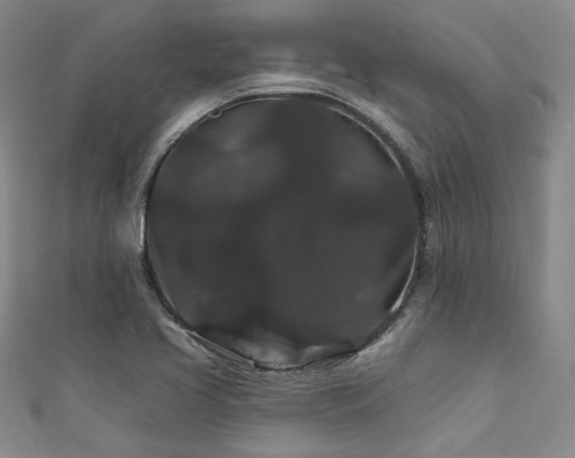 X0000111421413200907131153