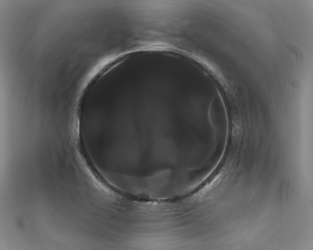 X0000111421414200907131153