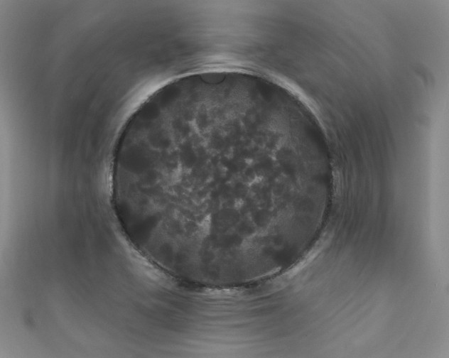 X0000111421415200907131153