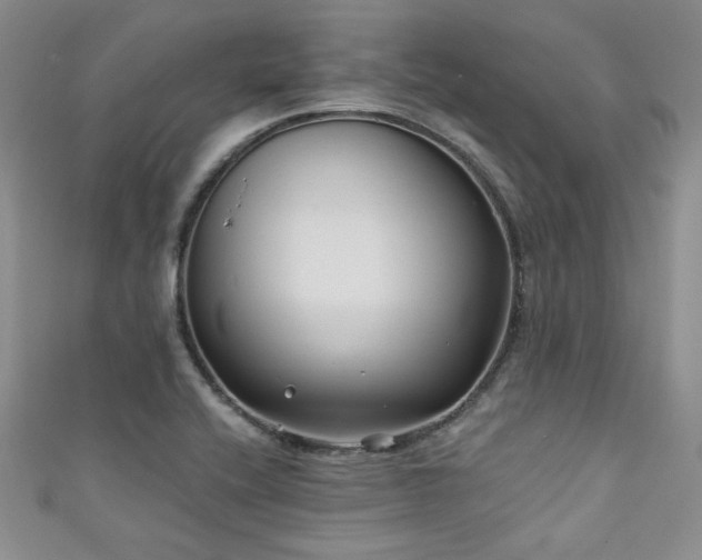 X0000111421416200907131153
