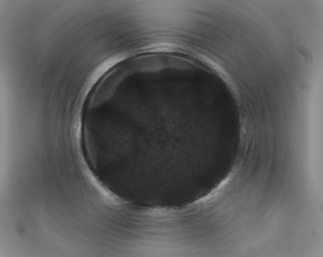 X0000111421418200907131153
