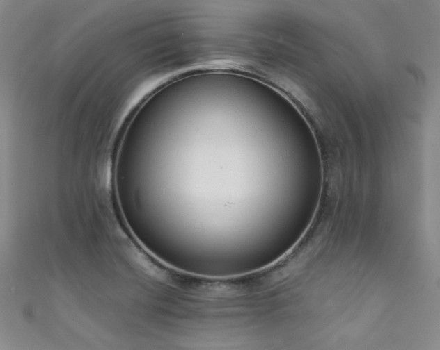 X0000111421420200907131153