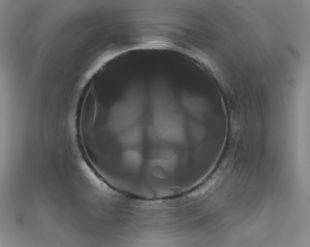 X0000111421422200907131153