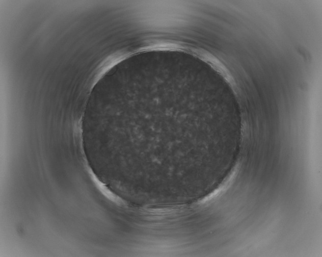 X0000111421425200907131153