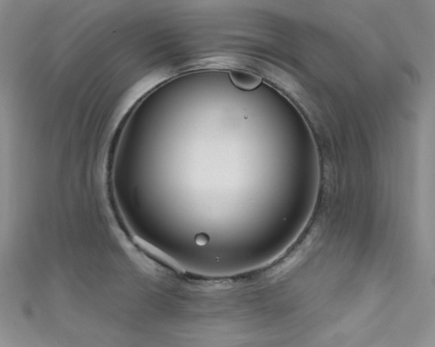 X0000111421426200907131153