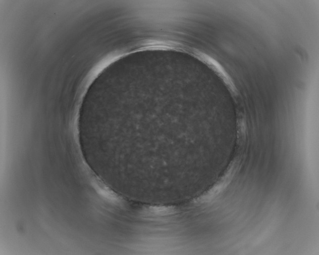 X0000111421427200907131153