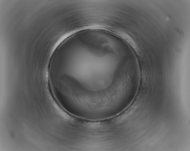 X0000111421428200907131153