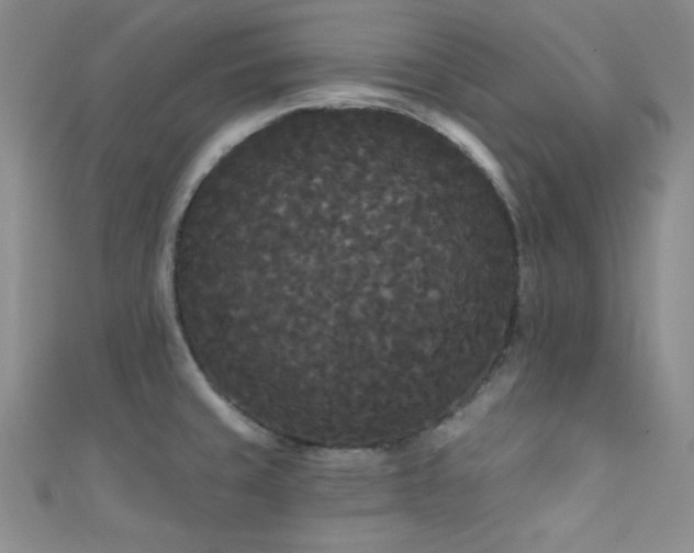 X0000111421429200907131153