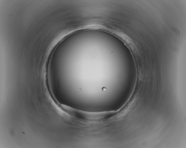 X0000111421430200907131153