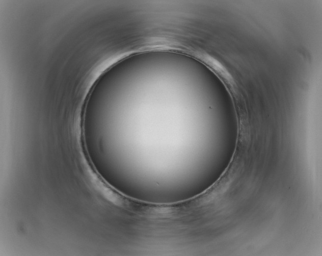 X0000111421431200907131153