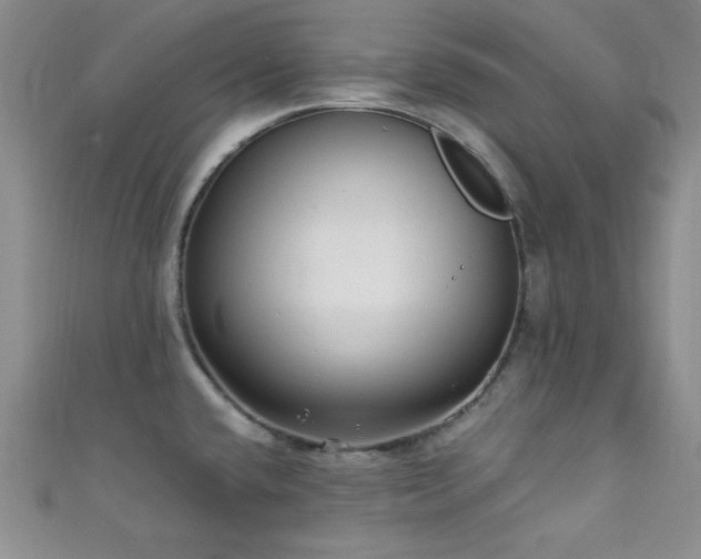 X0000111421432200907131153
