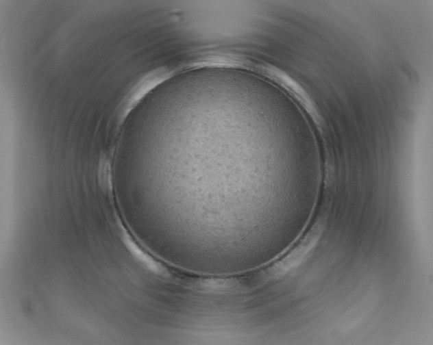 X0000111421433200907131153
