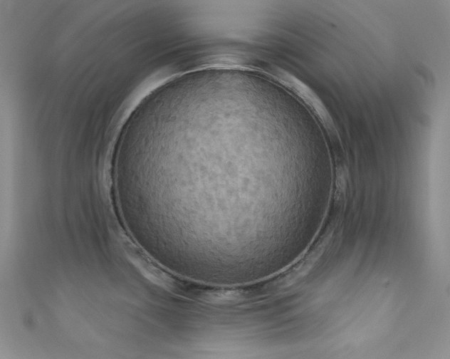 X0000111421435200907131153