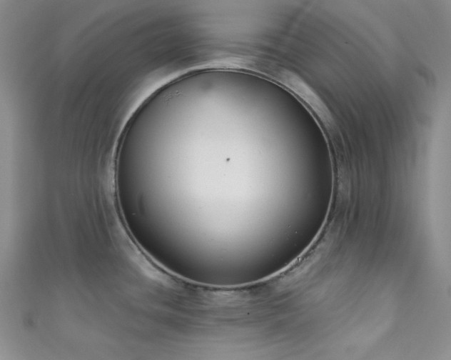 X0000111421436200907131153