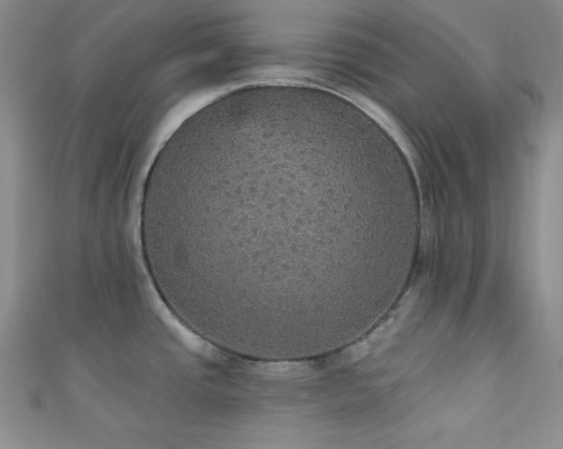 X0000111421437200907131153