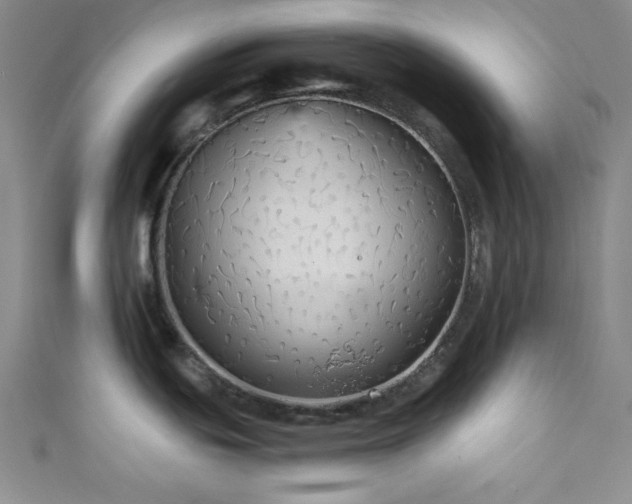X0000111421439200907131153