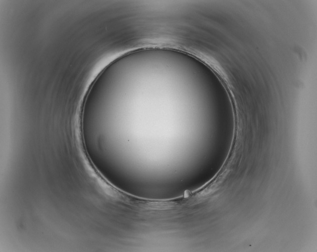 X0000111421440200907131153