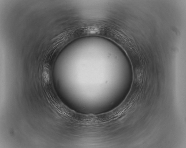 X0000111421442200907131152