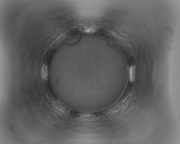 X0000111421443200907131152