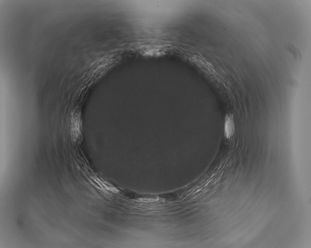 X0000111421444200907131152