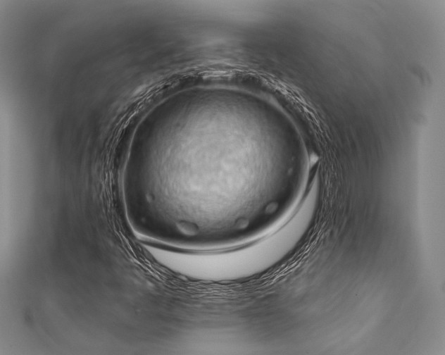 X0000111421445200907131152