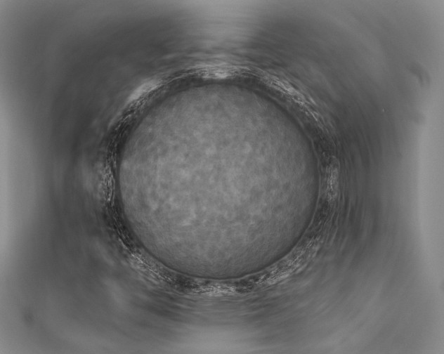 X0000111421446200907131152