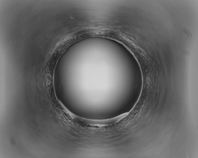 X0000111421447200907131152