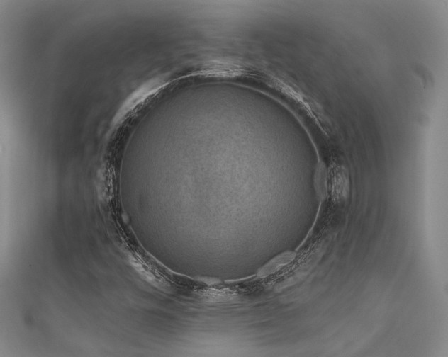 X0000111421448200907131152