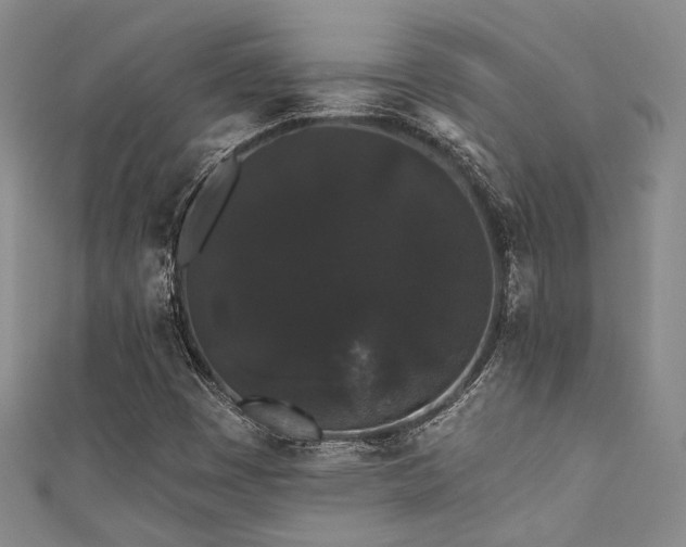 X0000111421449200907131152