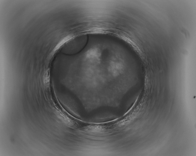 X0000111421450200907131152
