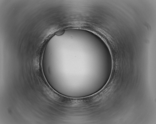 X0000111421451200907131152