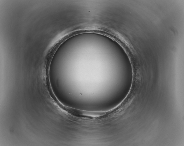 X0000111421456200907131152