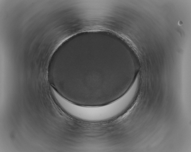 X0000111421457200907131152