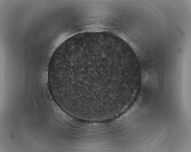 X0000111421459200907131152