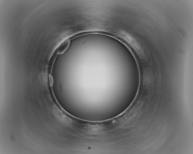 X0000111421460200907131152