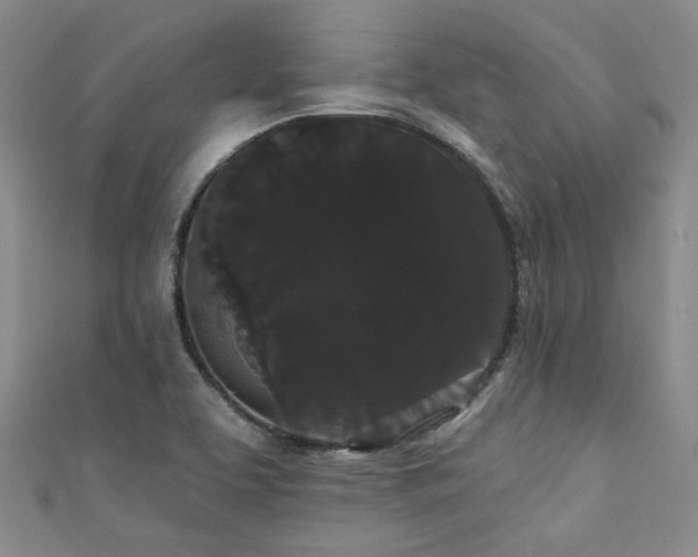 X0000111421463200907131152