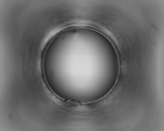 X0000111421464200907131152