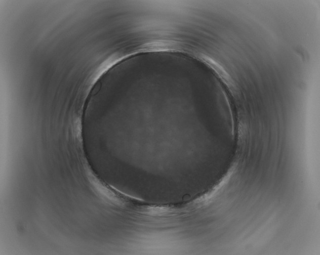 X0000111421465200907131152