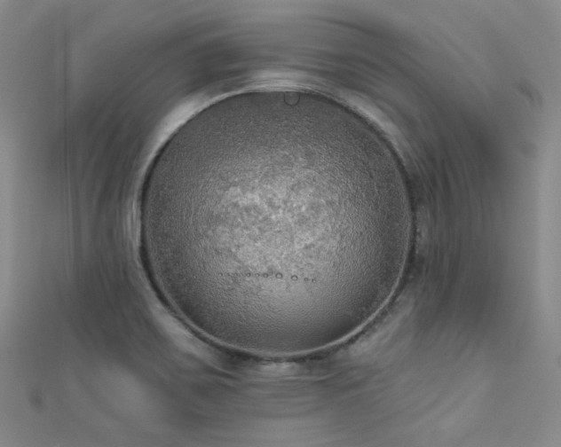 X0000111421467200907131152