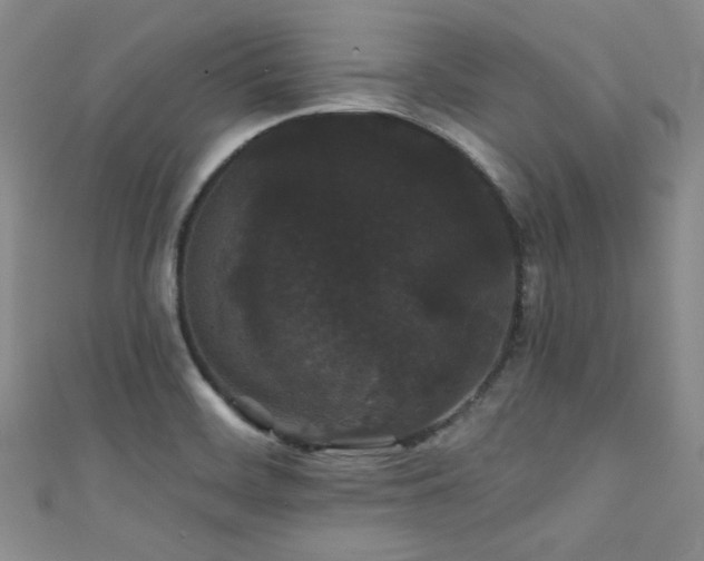 X0000111421468200907131152