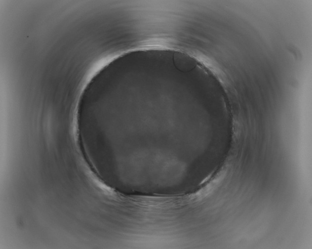 X0000111421469200907131152