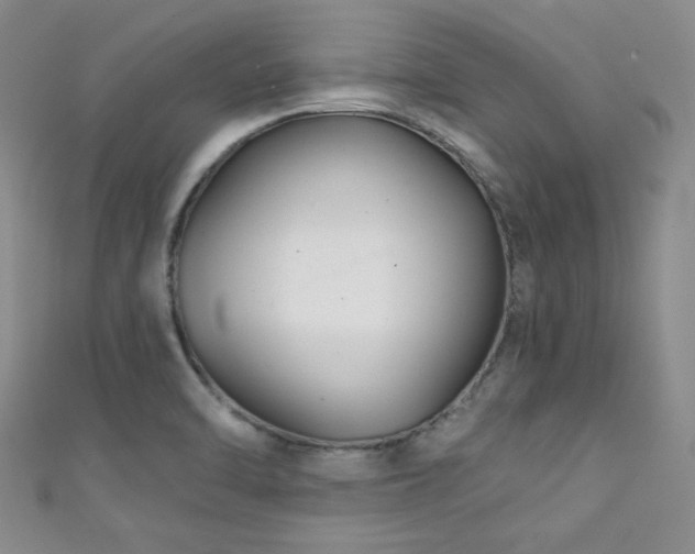 X0000111421470200907131152