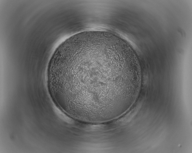 X0000111421471200907131152
