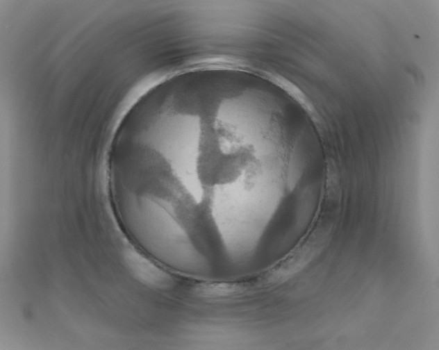 X0000111421474200907131152