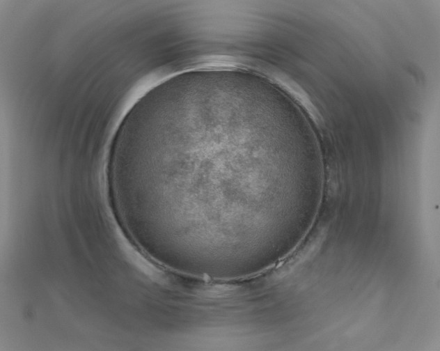 X0000111421475200907131152