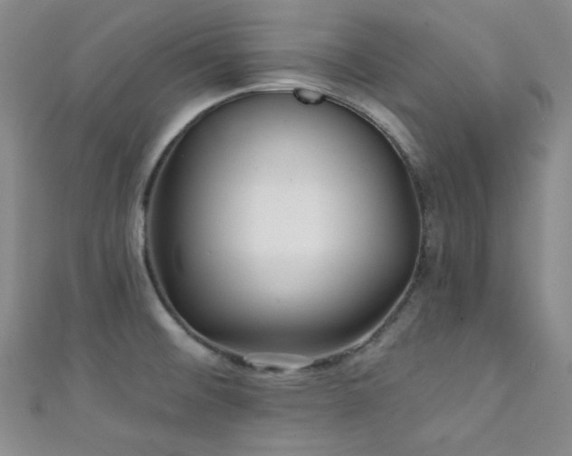 X0000111421476200907131152