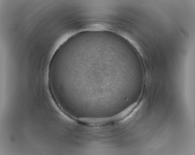 X0000111421477200907131152