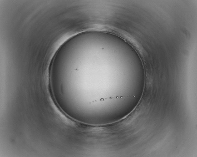 X0000111421479200907131152