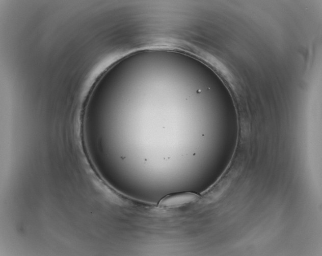 X0000111421480200907131152