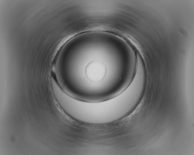 X0000111421481200907131152